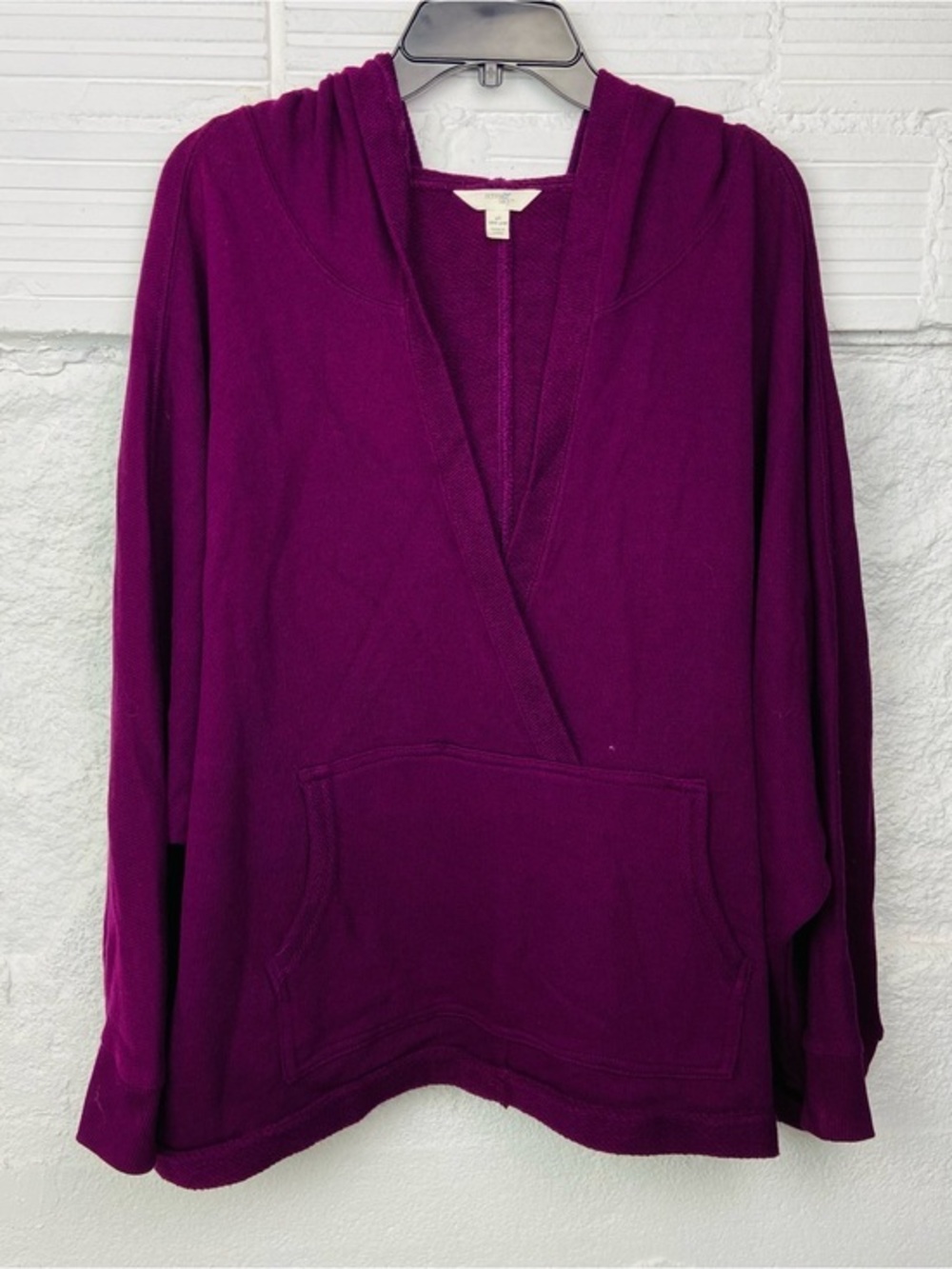 Terra & Sky purple hoodie long sleeve Top size 4X